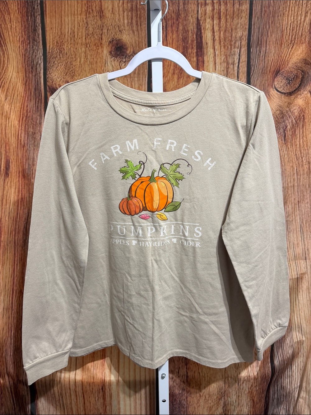 🚨(4/$10) State of Mine Long Sleeve Pumpkin Tee Size M
